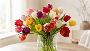 Tulip Flower Meaning: Love, Hope and Color Symbolism Guide