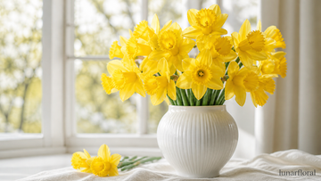 Daffodil Meaning: Love, Hope and Renewal Symbolism