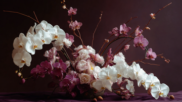 orchid flower meaning